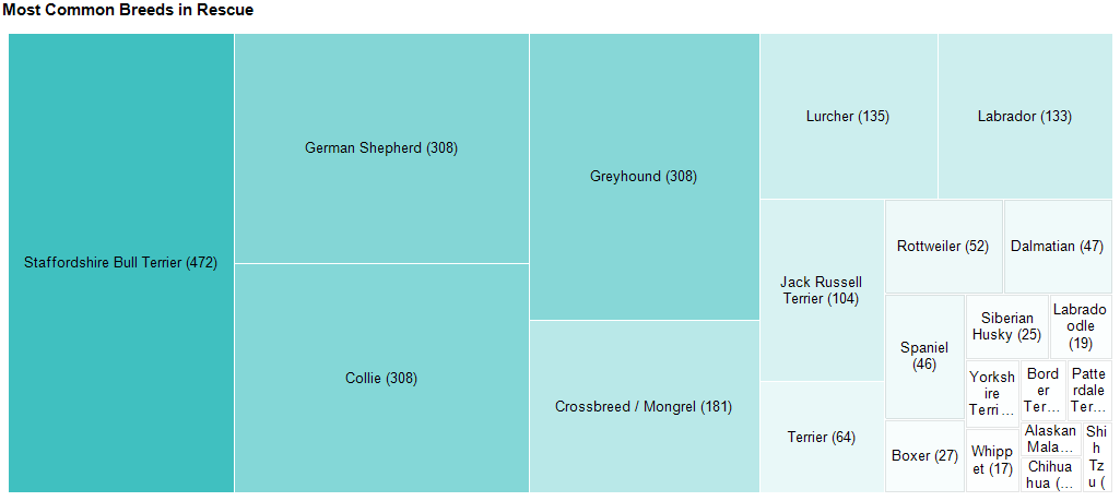 Most Common Breeds in Rescue Treemap